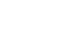 Webhook API WhatsApp